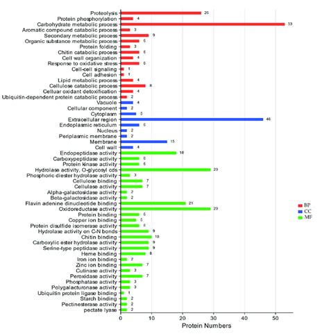 Gene Ontology Go Terms Bp Biological Process Cc Cellular Download Scientific Diagram