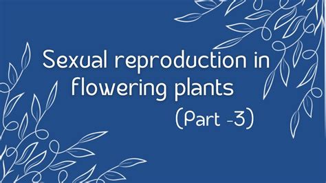 Chapter 2 Class 12 Biology Sexual Reproduction In Flowering Plants Part 3 Shrutiavasthi