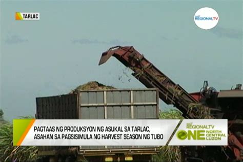 One North Central Luzon Pagtaas Ng Suplay Ng Asukal Asahan Sa Anihan