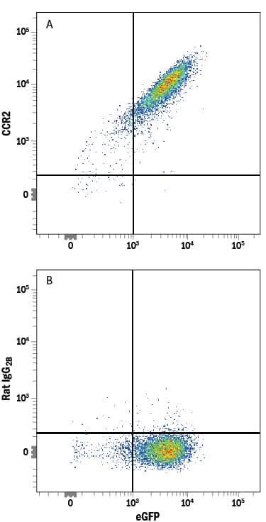 Ccr Antibody Alexa Fluor Fab S Novus Biologicals