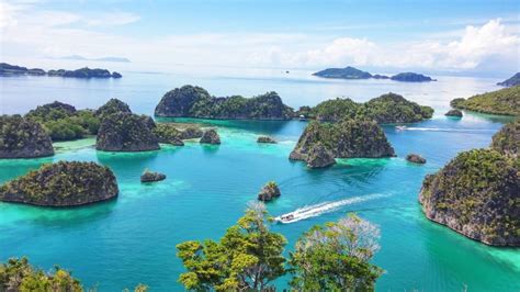 Potensi Dan Peluang Investasi Kapal Wisata Raja Ampat Galeri