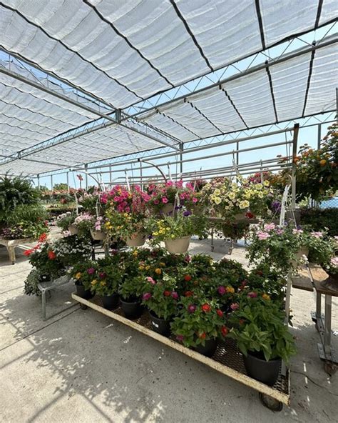 Offers Walter S Greenhouses And Garden Centre