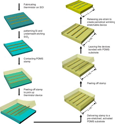 Color Online Schematic Illustration Of The Fabrication Process