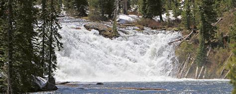 LEWIS FALLS - Yellowstone Waterfalls