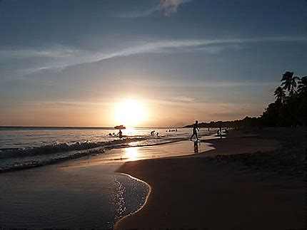 Les Salines Plages Mer Les Salines Pointe Sud Martinique