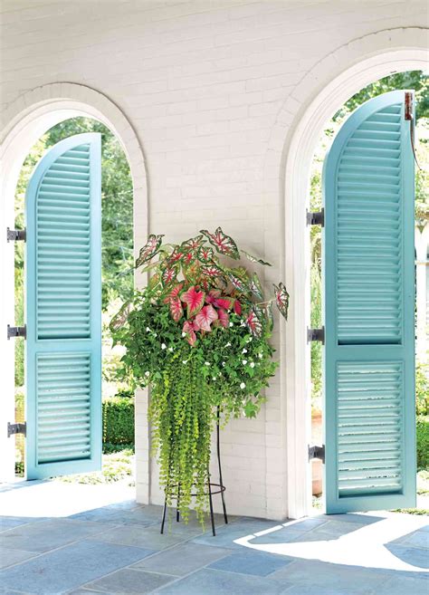 shade loving plants that flower 3