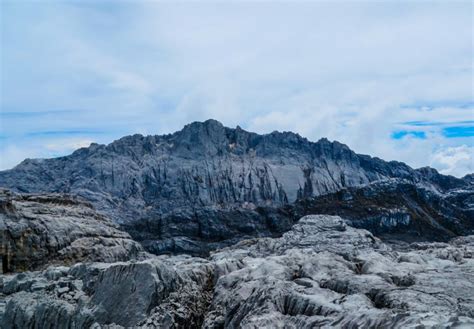 Puncak Jaya - Mountain Field Guide