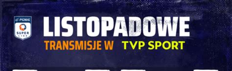 Listopad z PGNiG Superligą w TVP Sport Zobacz plan transmisji