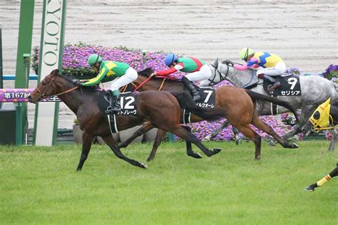 【朱雀s】1番人気サトノレーヴ、3連勝でオープン入り 浜中俊騎手「上を目指せる馬」 サンスポzbat