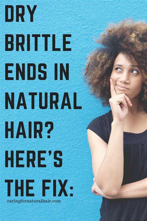 How To Get Rid Of Dry Brittle Ends In Natural Hair Naturalhair