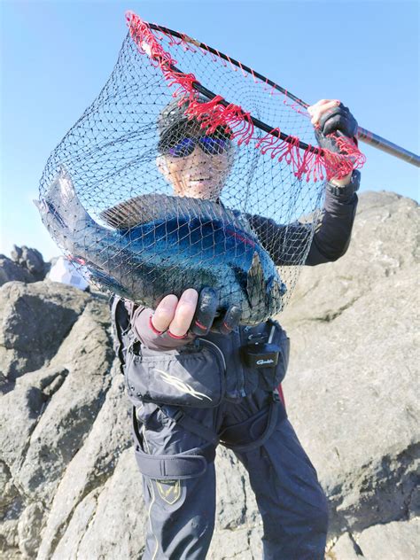 【藤原義雄の南紀直送便】「これを待っとった」40センチ口太！ 寒グレのシーズン到来 スポーツ報知