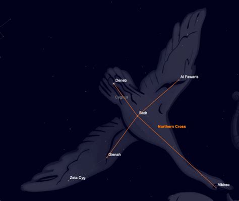 Cygnus Constellation Guide The Summer Swan In Our Night Sky