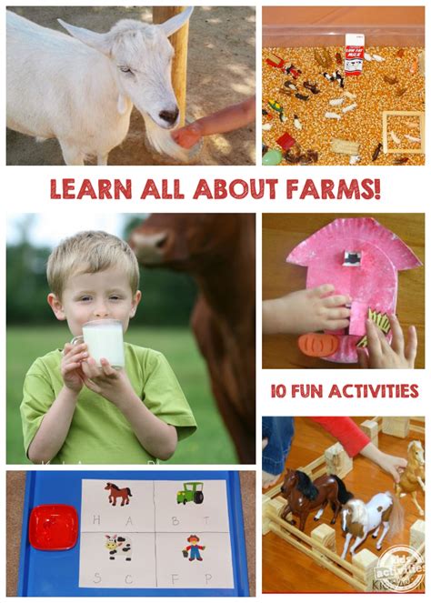 10 Fun Farm Activities