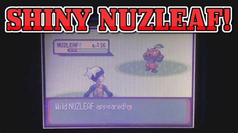 Shiny Nuzleaf In Pokemon Ruby After Only Encounters Youtube