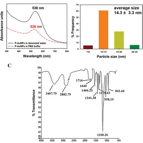 A UV Visible Spectra Of P AuNPs B A Size Histogram Of P AuNPs