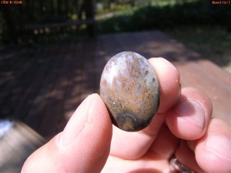 Sagenite Agate Cabochon Beautiful Polished