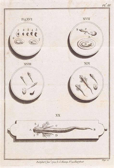 Vegetable Sex Images Free Photos Png Stickers Wallpapers Backgrounds Rawpixel