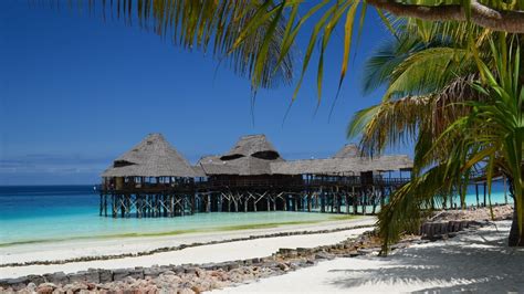 Reizen Naar Zanzibar Matoke Tours