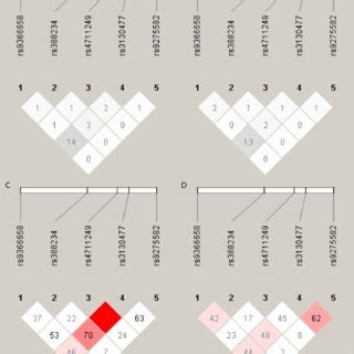 Linkage Disequilibrium Ld Plot For The Five Tag Snps Rs