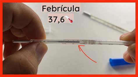 Como Funciona O Termometro De Mercurio