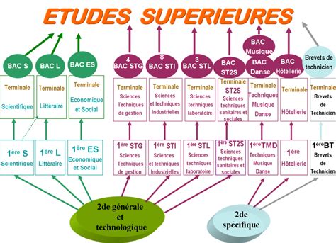 Peep Pasteur Lille R Union D Information Sur Les Poursuites D Tudes