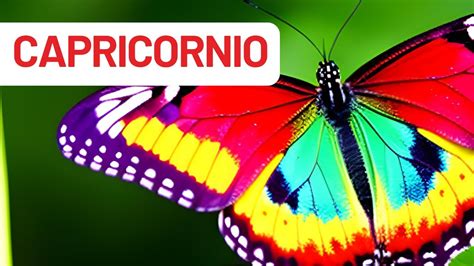 No Es Casualidad Capricornio 💫 Sincronias 🦋😩 ️🔮💡🐞🌜 Horoscopo 💌 Tarot