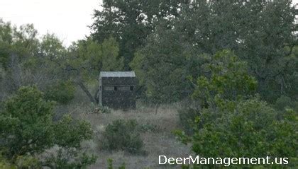 Deer Hunting Season Shines Bright in Texas | Deer Management