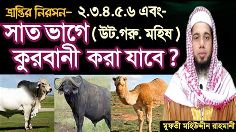 সাত ভাগে কুরবানী করা যাবে কি Sat Vage Kurbani Kora Jabe Ki মুফতী