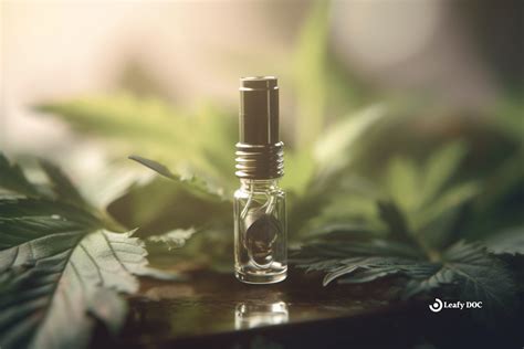 Master The Art Of Refilling A Cannabis Vape Cartridge Leafy Doc