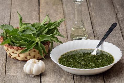 Ortica Ricette Come Usarla In Cucina E Come Conservarla GreenMe