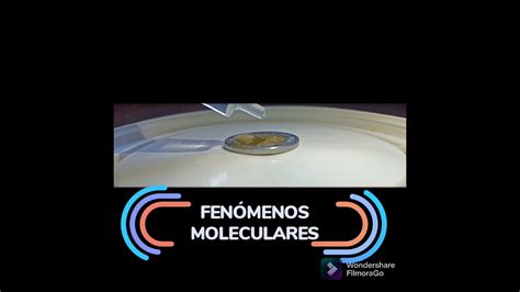 Fen Menos Moleculares Experimentos Sencillos Cienciaincre Ble Youtube