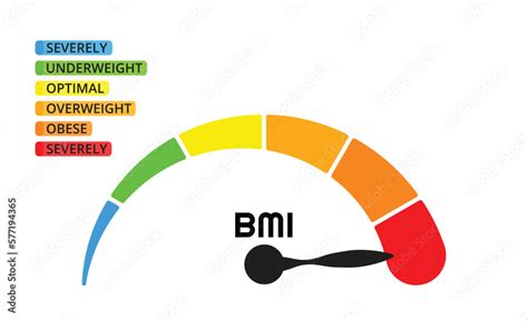 Bmi Categories Chart Body Mass Index And Scale Mass People Severely