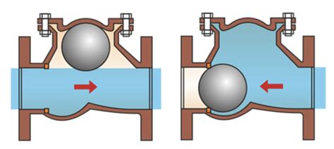 Ball Check Valve Diagram