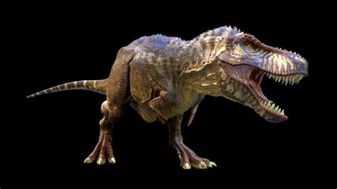 Artstation Tyrannosaurus Rex 3d Model Life Reconstruction