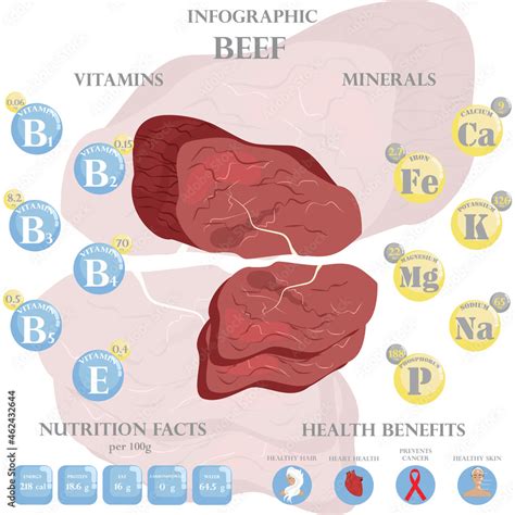 Beef nutrition facts and health benefits infographic Stock Vector ...