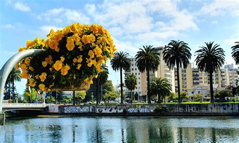 Descubre cuándo empieza la primavera en Chile y prepárate para el