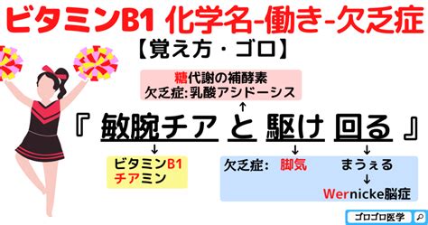 ビタミンb1欠乏症・チアミン・脚気の覚え方・ゴロ【cbt国試対策】 ゴロゴロ医学