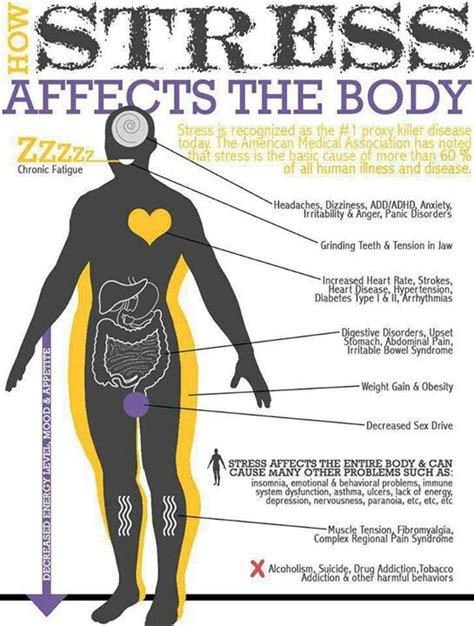 How Stress Affects The Body Health Pinterest