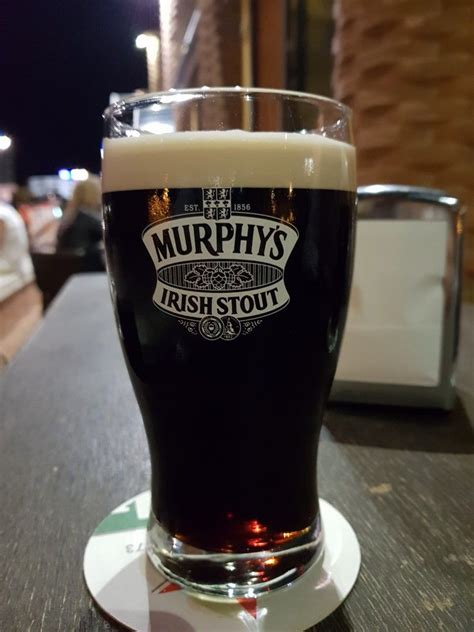 MURPHY S BLACK IRISH STOUT BEER Bier