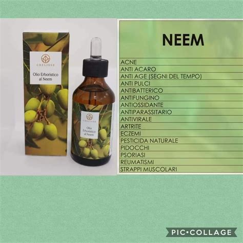 50 Olio Neem Pidocchi Info Causadeipidocchi