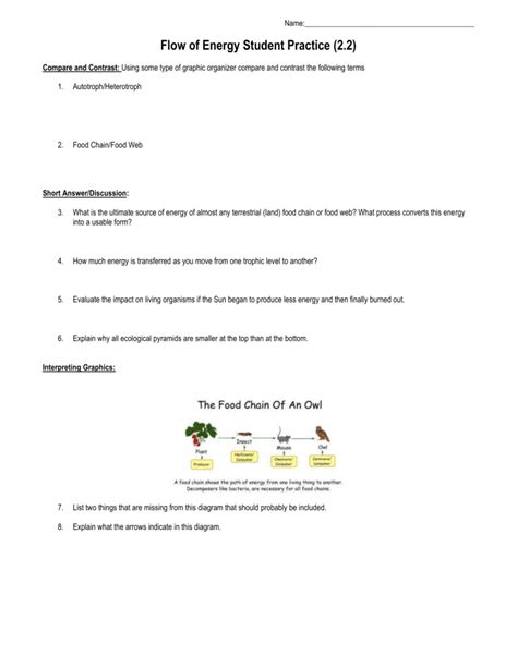 Practice Energy Flow 1 Worksheet Answers