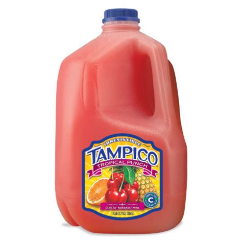 Tampico Tropical Punch Count Fl Oz Food Less