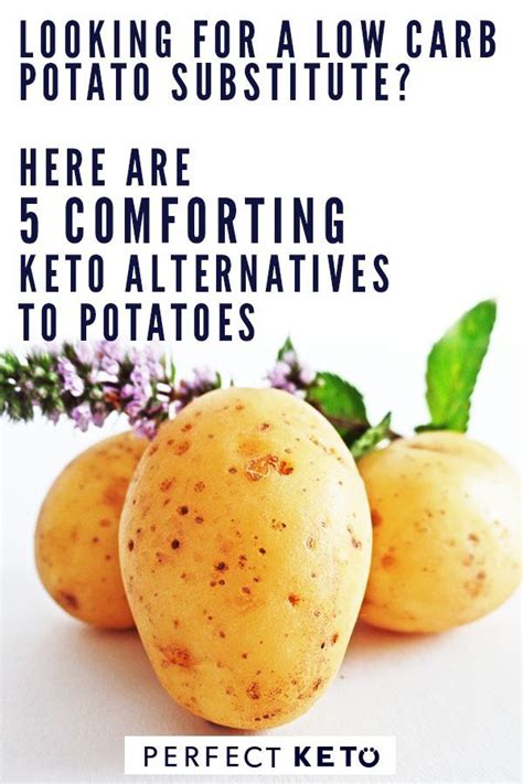 Worried About Carbs In Potatoes 6 Low Carb Potato Substitutes Low Carb Potatoes Best Diet