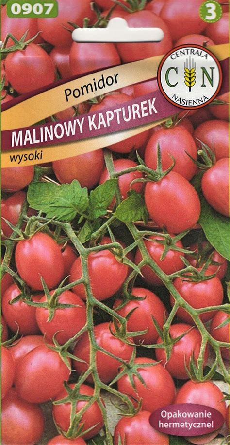 Pomidor Malinowy Kapturek Koktajlowy 400 500 Szt Z Krzaka Pycha