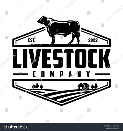 Livestock Company Over 3 664 Royalty Free Licensable Stock