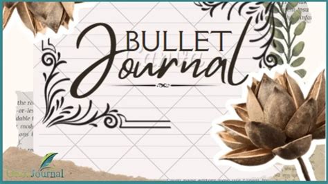 What Are Bullet Journal Spreads? - Ottos Journal