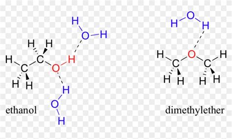 Image116 - Water And Ethanol Hydrogen Bonding, HD Png Download ...