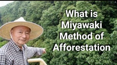 Miyawaki Forest I What Is Miyawaki Method Of Afforestation I Akira