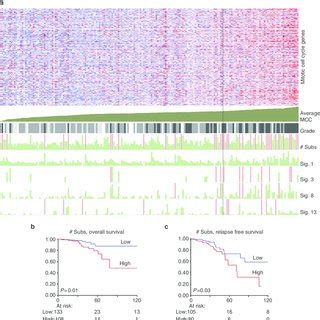 | Mitotic cell cycle gene activity related to mutational signatures and... | Download Scientific ...