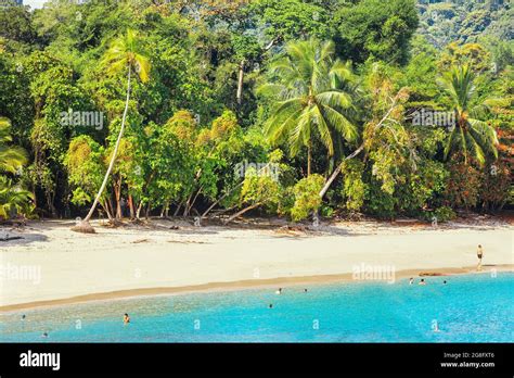 Tropical Beach Manuel Antonio National Park Quepos Costa Rica